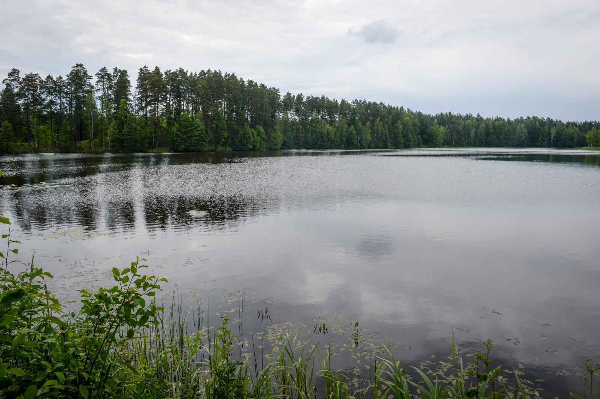 Alberta Diki Upesciems Camera foto